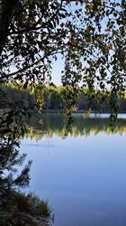 IMG_20260916_195822.jpg