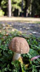 IMG_20260916_200124.jpg