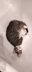 IMG_20260917_105143.thumb.jpg.60f13ec86ad9b7a134cc99f5e2b46318.jpg