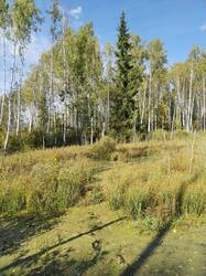 IMG_20260917_134606.jpg