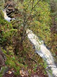 IMG_20260919_111708_287.thumb.jpg.e5ec1383d13b43820f7b4fbc74fc3e84.jpg