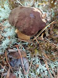 IMG_20260919_122224.jpg