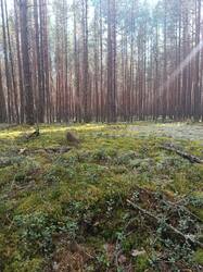 IMG_20260919_142517.jpg