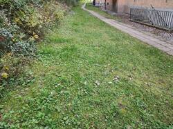 IMG_20260919_151944.thumb.jpg.c678bc6c649da70b77cf3341866f3a80.jpg