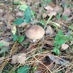 IMG_20260919_171525.jpg