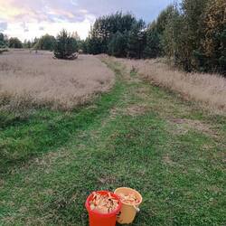 IMG_20260919_182206.jpg