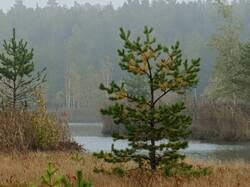 IMG_20260920_091634_239.jpg