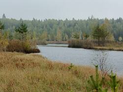 IMG_20260920_101254_656.jpg