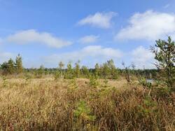 IMG_20260920_111759_190.jpg