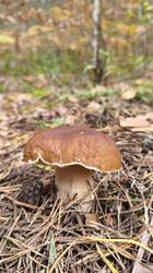 IMG_20260921_114153.jpg