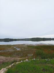 IMG_20260921_124604_538.thumb.jpg.4fb229b3b7c2f7e6b91130316fae6034.jpg