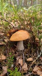 IMG_20260921_144056.jpg
