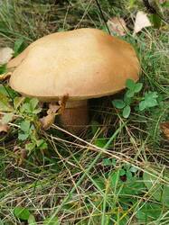 IMG_20260921_150310.jpg