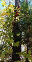 IMG_20260922_123455.jpg