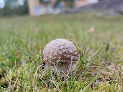 IMG_20260922_144905.thumb.jpg.301d9c121467b9f65e40b07cc4539b14.jpg