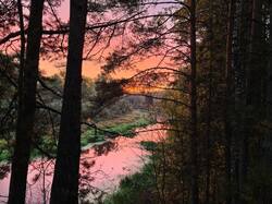 IMG_20260923_061842.thumb.jpg.e45cfb4f54a171bee1583701c41c11c7.jpg