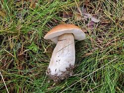IMG_20260923_100149.jpg