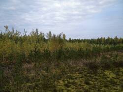 IMG_20260923_110228.jpg