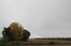 IMG_20260923_143315.jpg