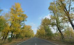 IMG_20260923_143543.jpg