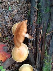 IMG_20260926_155640.jpg