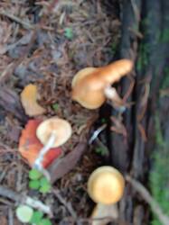 IMG_20260926_155654.jpg