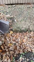 IMG_20260927_082001_542.jpg