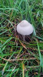 IMG_20260927_171657.jpg