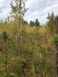 IMG_20260928_084523_804.jpg