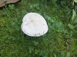 IMG_20260929_133818_478.jpg