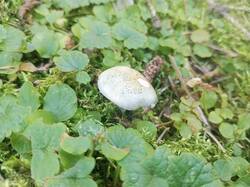 IMG_20260929_133926_635.jpg