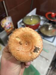 IMG_2307.jpeg