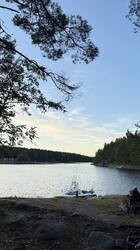 IMG_3330.jpeg