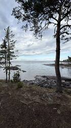 IMG_3344.jpeg
