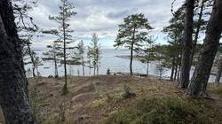 IMG_3352.jpeg