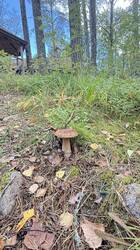 IMG_3368.jpeg