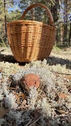 IMG_3457.jpeg