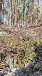 IMG_3458.jpeg