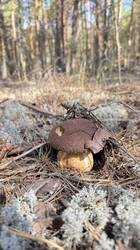 IMG_3464.jpeg