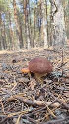 IMG_3465.jpeg