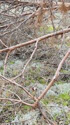 IMG_3473.jpeg