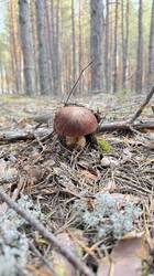 IMG_3475.jpeg
