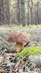 IMG_3476.jpeg