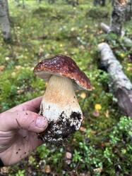 IMG_3543.jpeg