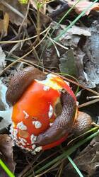 IMG_3700.jpeg