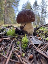 IMG_4503.jpeg