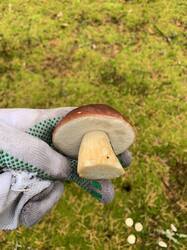 IMG_4686.jpeg