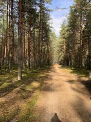 IMG_4715.jpeg