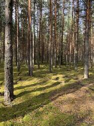 IMG_4716.jpeg