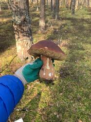 IMG_4722.jpeg